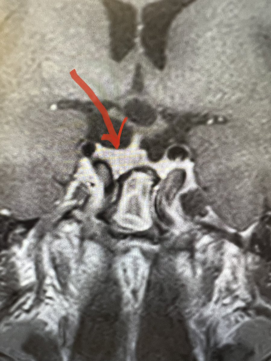 John Craig, MD tweet media