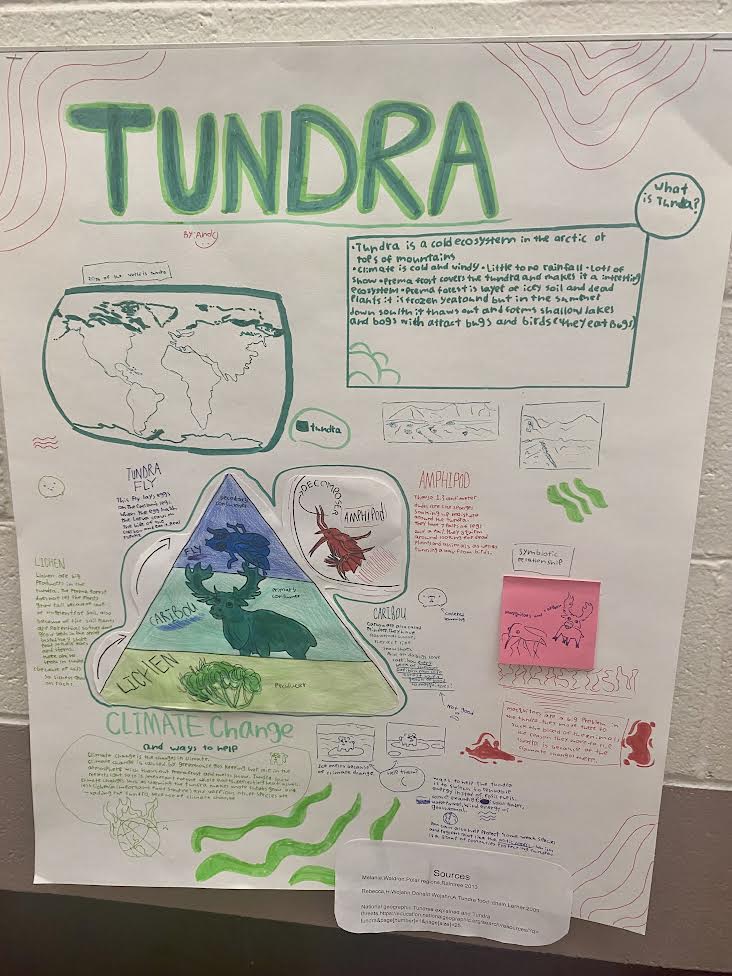 SwansonL16's tweet photo. We integrated information from several texts in order to create projects about biomes from around the world. We chose to share our information either through a poster or a google slides presentation.  @EESDLandT @EphesusElem https://t.co/EWMozIrWGk