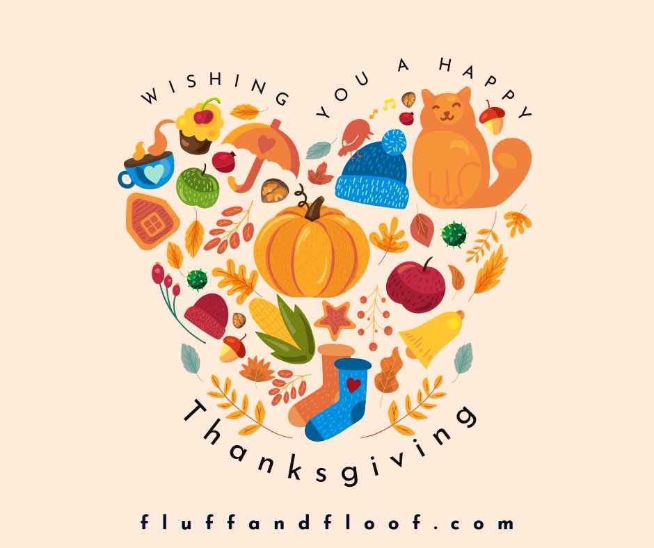 FluffAndFloof's tweet photo. 🦃🍂 Wishing our Floofs a Paw-sitively Purr-fect Thanksgiving!  May your day be filled with gratitude, joy, and delicious treats for both two-legged and four-legged family members.  Happy Thanksgiving from all of us at FLUFF &amp; FLOOF! 🐾
#Thanksgiving #GratefulPaws #Thankful https://t.co/NHy8dJz8C7