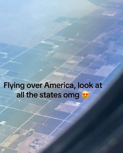 PicturesFoIder's tweet image. 