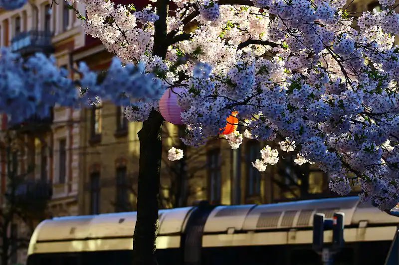 Freelancing_Sar's tweet image. #JournoRequest #JournalistRequest #TravelRequest

I’m writing a “Healthy weekend away” travel article on Gothenburg, Sweden, for Health &amp;amp; Wellbeing Magazine. 

Looking for hotel, restaurant, spa &amp;amp; activity recommendations. 

PRs please reach out to me: FreelancingSarah@gmail.com