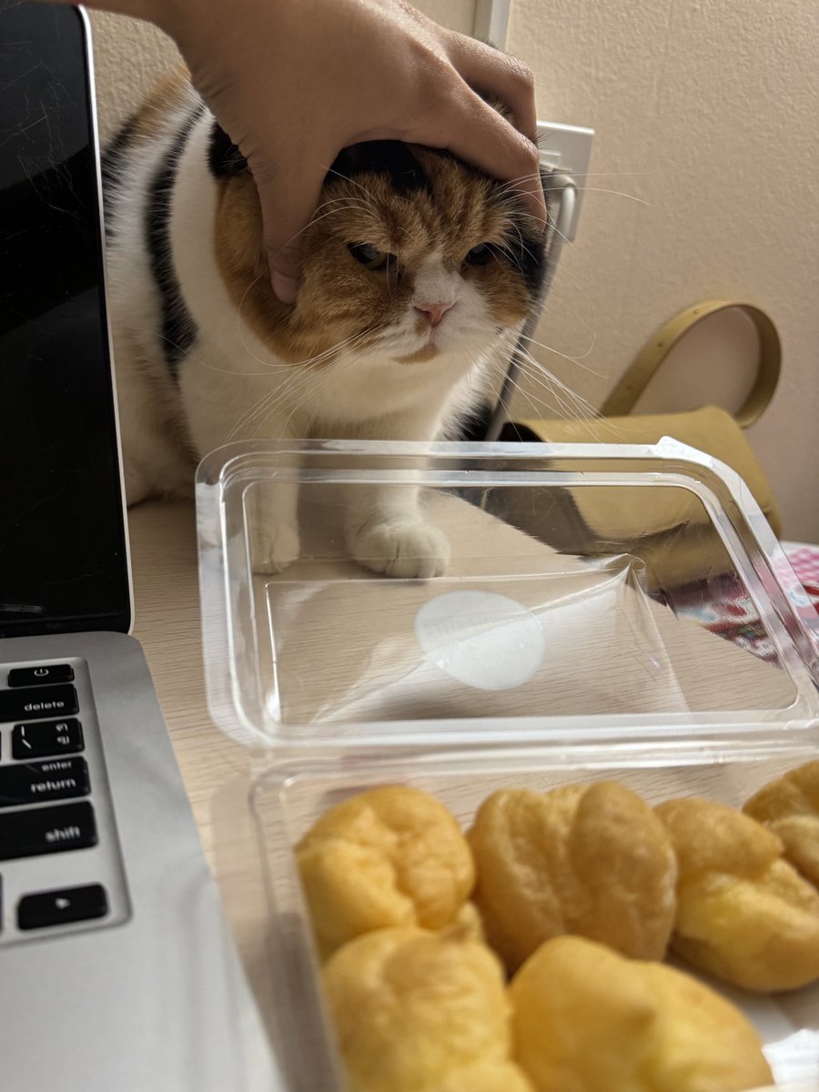 ไม่รู้ต้องเรียกว่าชูครีมหรือเอแคลร์ แต่ขอกินชิ้นนึงไดมัย