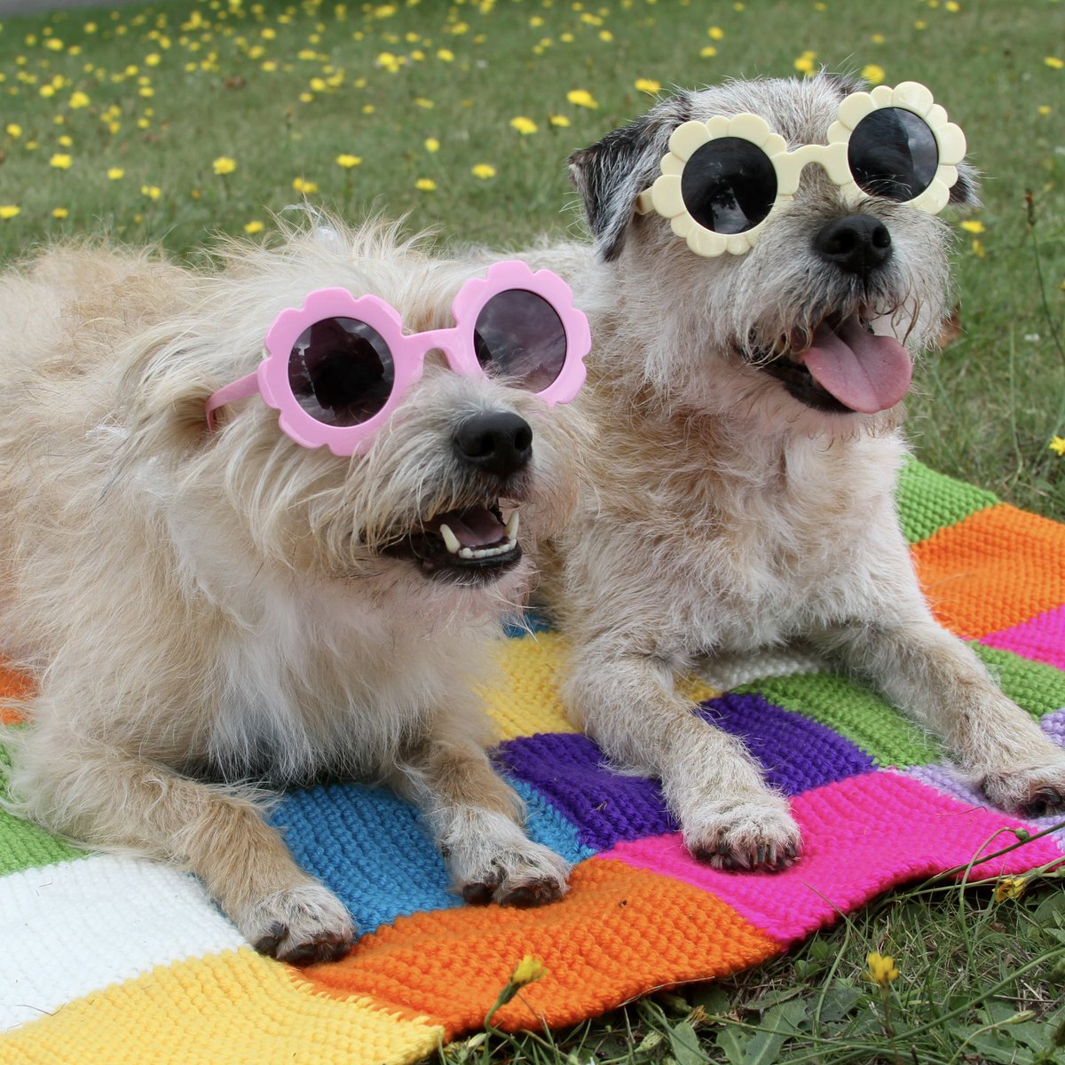 Kate Lawler tweet media