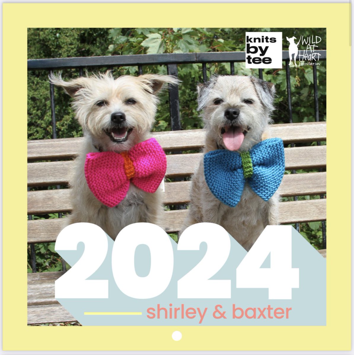 Kate Lawler tweet media