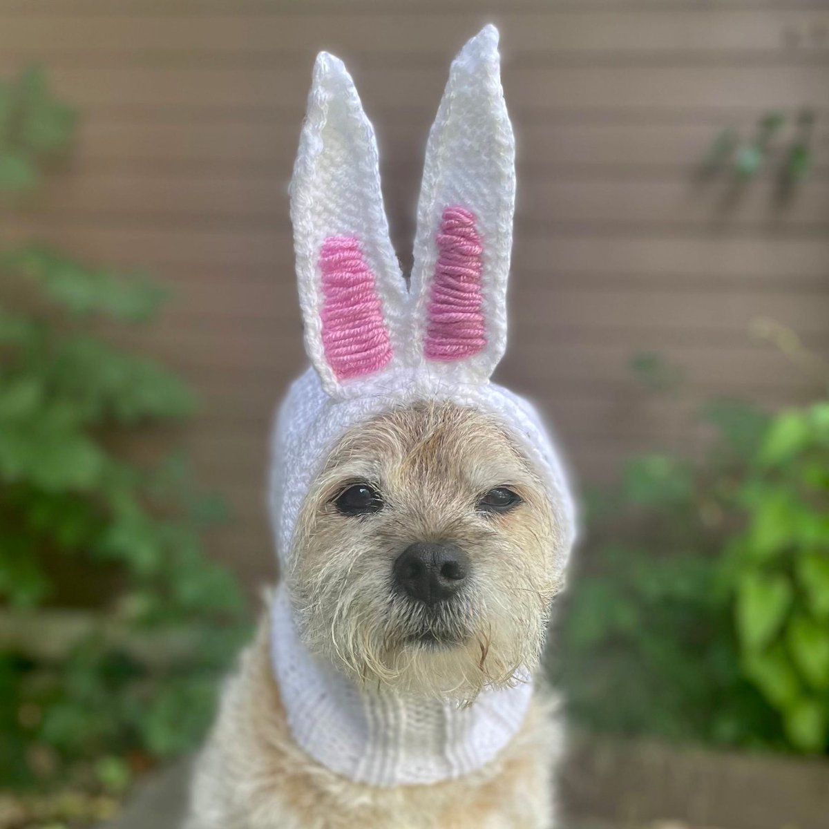 Kate Lawler tweet media