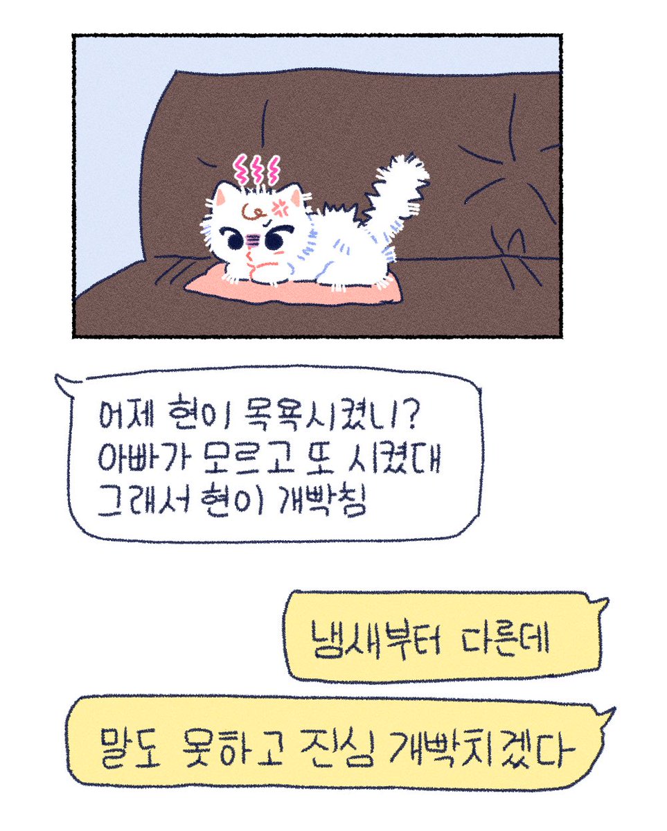 95Uwrb's tweet photo. 시그영상..나한텐 이렇게 보임 https://t.co/cwqkOVGuPR