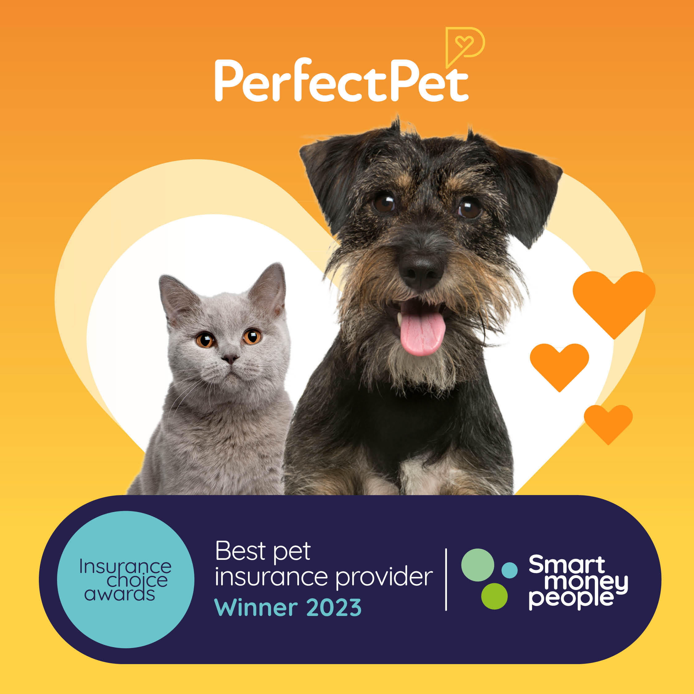 Perfect pet hotsell insurance