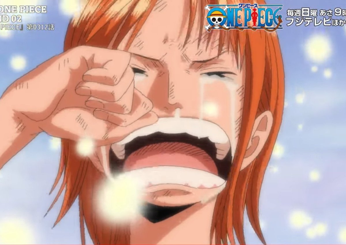 このシーン、何回みても泣いちゃう😭😭💦
色々思い出あるもんね🥺
ありがとう、メリー🚢🚢🚢
 #ONEPIECE    #ワンピース