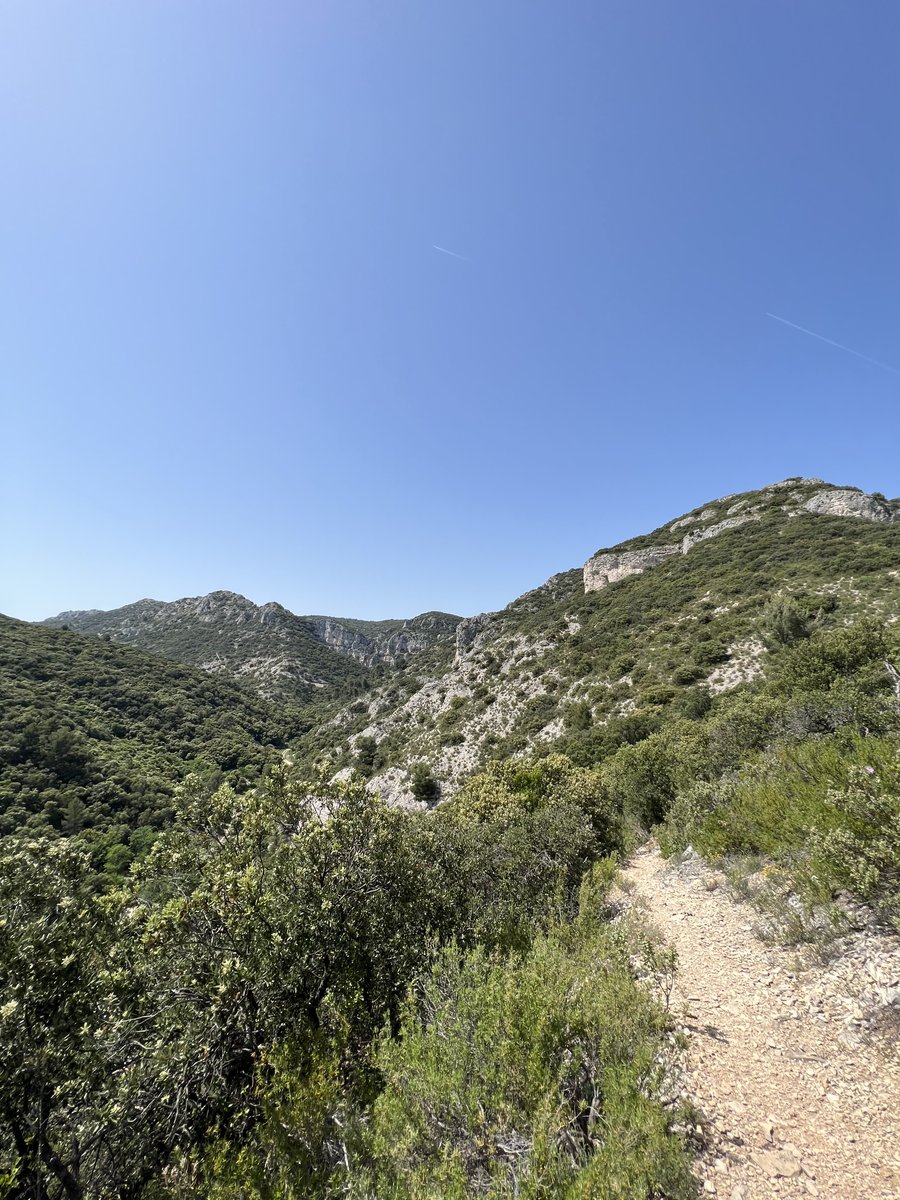 Destination Luberon tweet media