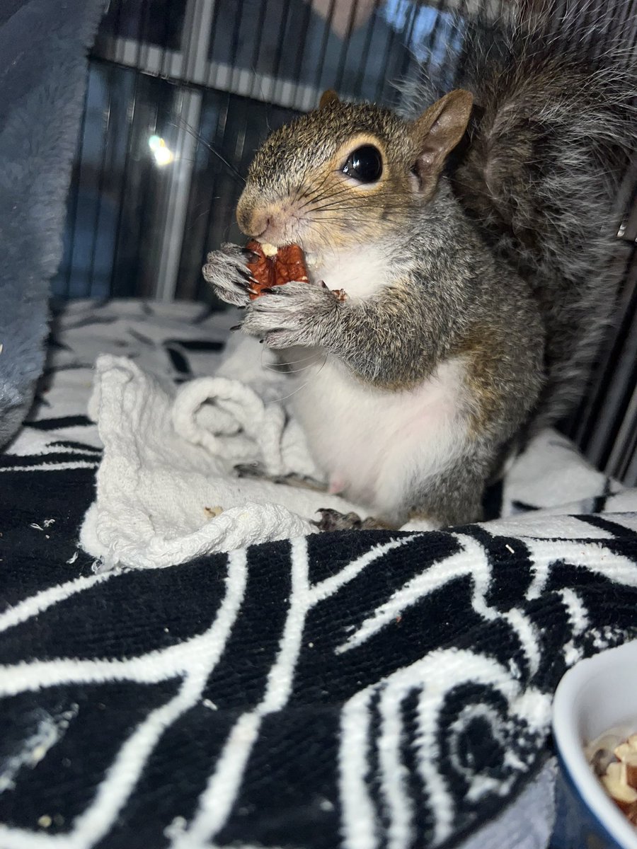 liu uzi chang (@liuuzichang) on Twitter photo 