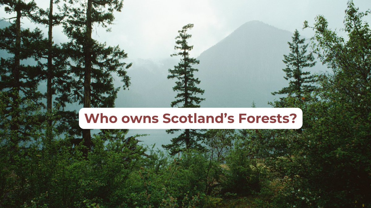 So who owns Scotland’s forests? In out latest report, we commissioned land rights researcher, Andy Wightman, to update the findings of a previous report we published in 2012. Ten years on in 2022, there are some familiar faces and some new ones.