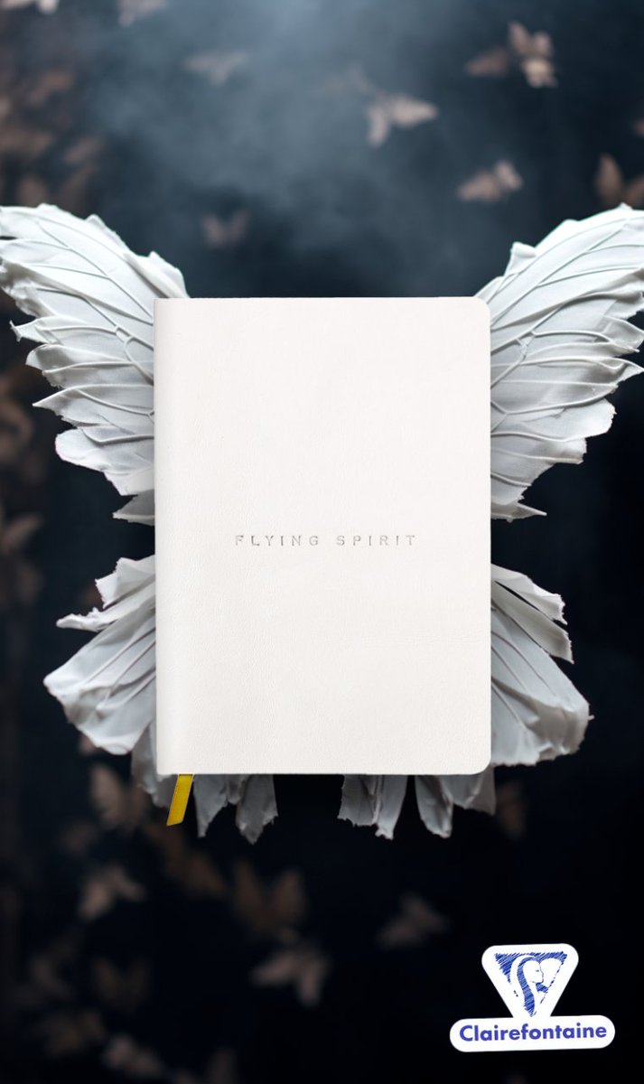 Flying Spirit Leather Journal from Clairefontaine.

A5 notebook with 180 thread-bound pages of 90gsm smooth, acid-free ivory paper. Fabric page marker and a choice of page layouts. Vegetable-tanned, tactile leather cover in cool white.

#Clairefontaine