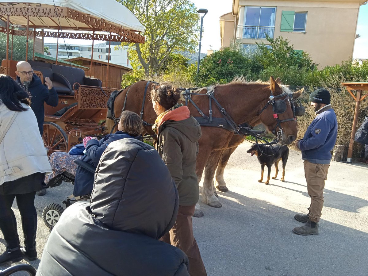 Delegation13APF's tweet photo. La semaine dernière, nos adhérents ont visité le Théâtre du Centaure à Marseille. À cette occasion, l'intervenant leur a fait visiter les lieux tout en leur expliquant le processus de dressage des chevaux selon les besoins des différents spectacles. https://t.co/ZUzSffjTK7