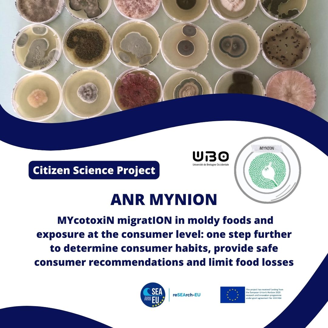 🌊 [PROJECT] ANR MYNION MYcotoxiN migratION in moldy foods and exposure at the consumer level: one step further to determine consumer habits, provide safe consumer recommendations and limit food losses
