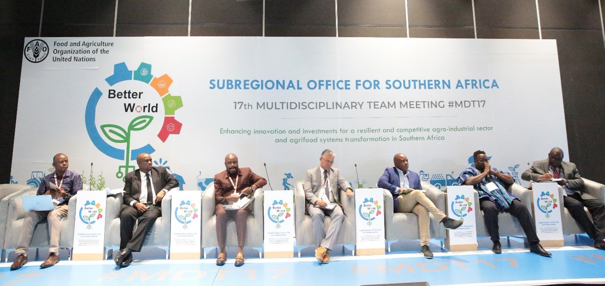 As the dialogue on enhancing innovation &amp; investments for resilient agrifood systems at the #FAOSFS_MDT17 meeting continues, FAO and its partners underscored the critical importance of co-creation in an enabling environment for successful delivery of agreed programme priorities