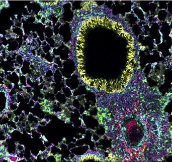 Tara Sutherland (@drtesutherland) on Twitter photo 