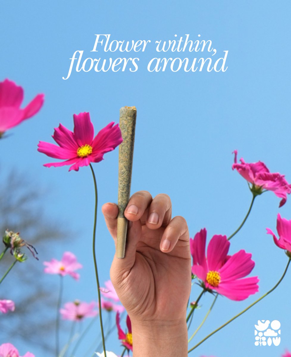 thespringtimeco's tweet image. To floral beginnings.
.
.
.
#springtime #springtimebliss #Massachusetts #michigan #vibespositive #positivevibesonly #joyfullife