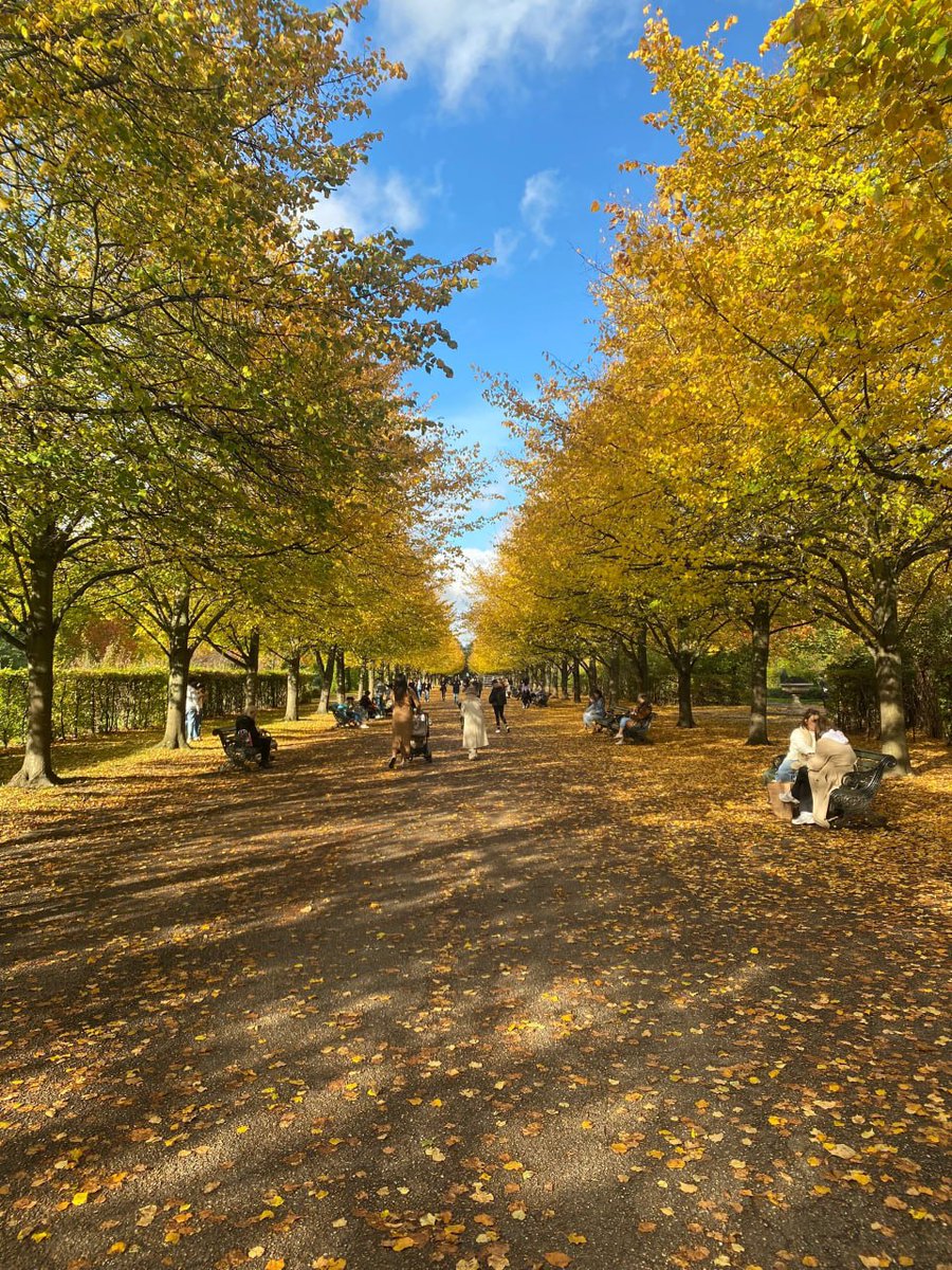 Regent's Park in London in autumn💚🌼