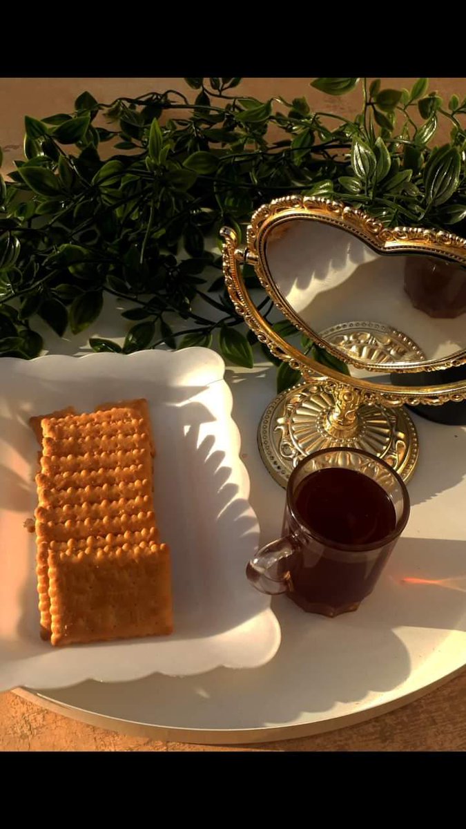 جلسات الشاي هي اللي يحبها قلبي.