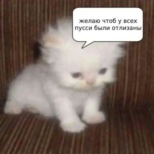 t.me/japwater
как вас прибавилось япи япи япии
приходите ко мне в тг канал, там випки и просто всякое!!