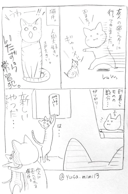 猫日記。