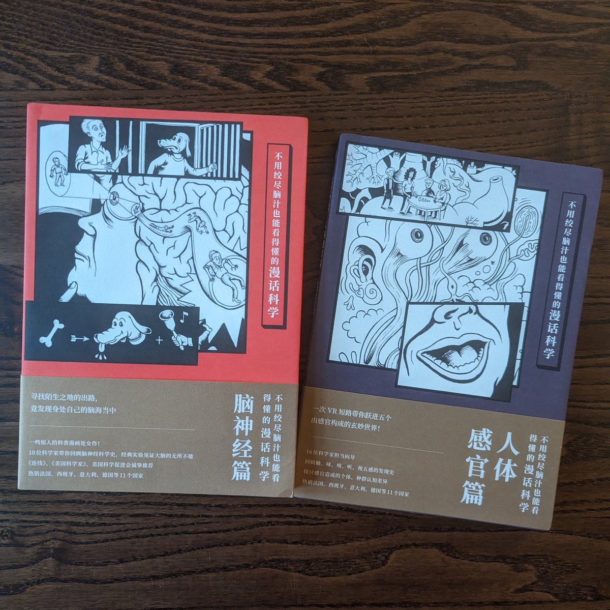 matteofarinella's tweet photo. I love how trippy the new covers of the Chinese editions for #neurocomic and The Senses are. I have no idea what all the text says but it looks like they captured the spirit of the books.

Enjoy!
👁️‍🗨️ 🧠👌

#SciComm #graphicnovel #comics #neuroscience #cartoonscience https://t.co/ngjK8jtgVx