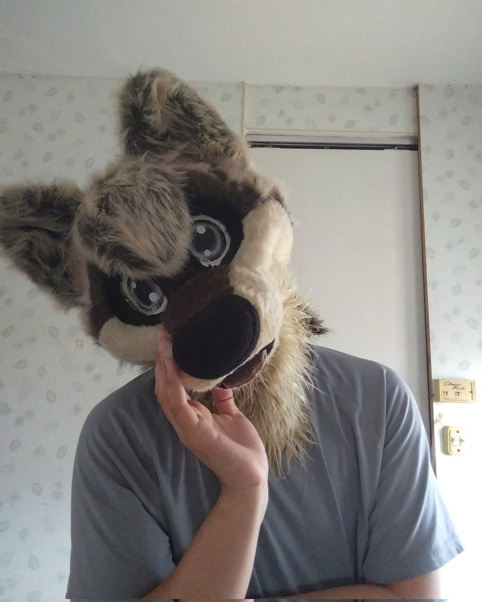 rollin_wolf's tweet photo. Let's see https://t.co/hoH57LnPZC