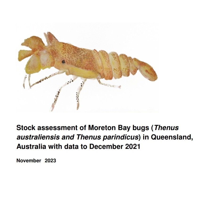 Alise Fox (@hi_im_alise) on Twitter photo A very happy #WorldFisheriesDay this year, as my co-authors and I published FOUR (!) stock assessments on Queensland prawn and bug species, wrapping up an enormous ~18 month project. 
Stoked I got to paint the cover art too! 🦐🥂🦞 A very happy #WorldFisheriesDay this year, as my co-authors and I published FOUR (!) stock assessments on Queensland prawn and bug species, wrapping up an enormous ~18 month project. 
Stoked I got to paint the cover art too! 🦐🥂🦞