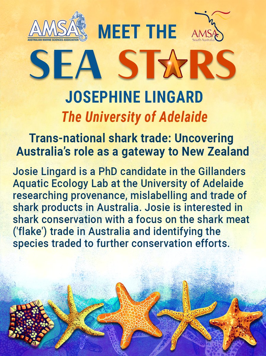 MarineScienceSA's tweet image. Come &amp;amp; meet the Sea Stars at The University of Adelaide on Friday 1st December 2023!

PhD Candidate, Josephine Lingard, will present on the trans-national shark trade: uncovering Australia's role as a gateway to New Zealand 🌊🦈🌐

Tickets: bit.ly/3QtdELv