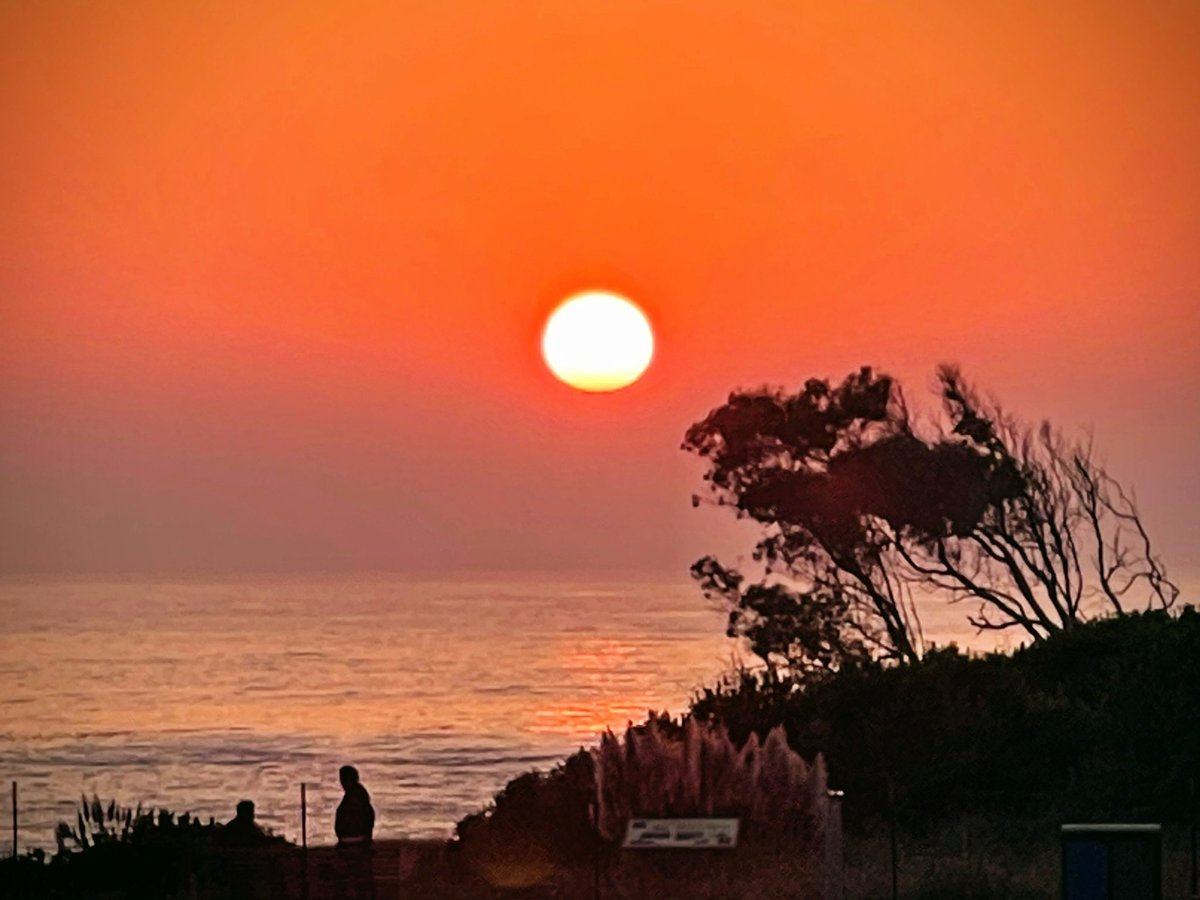 gteam0's tweet photo. @monkbonk Fort Bragg, CA https://t.co/zEb1pgxmoy