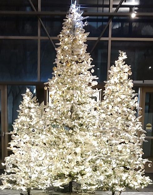 marian_wi's tweet photo. It's beginning to look a lot like #Christmas at @marian_wi! Stayer Welcome Center is open during normal business hours, for a beautiful backdrop for your #Christmascardphoto. Consider a donation to help our campus look beautiful all year. https://t.co/Q1AGUuNAAM #prettycampus https://t.co/VRHtmTAoKe