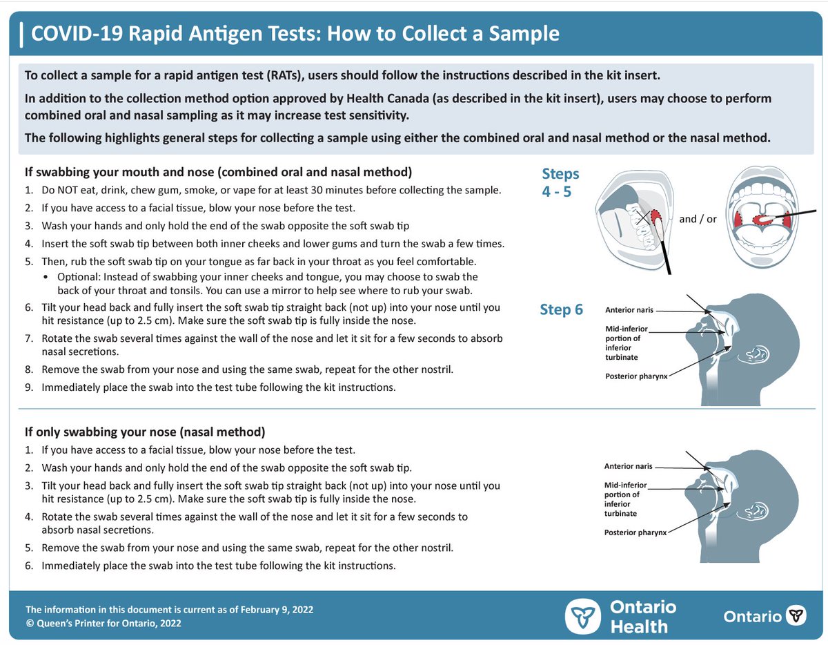 The Ontario Minister of Health recommends swabbing your throat and nose when rapid testing. Unfortunately, these instructions are not widely known. Please share with friends and family. Here is a handy infographic you can use. #FreeTheRATs #onpoli #onthealth
