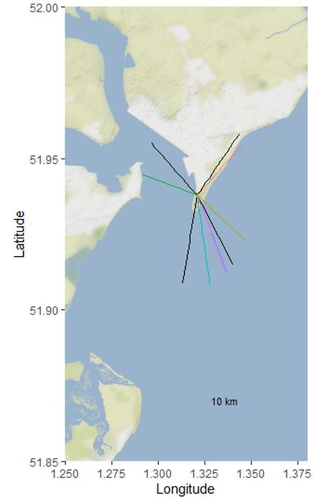 @IBIS_journal @LotekWireless 5/6 #BOUsci23 #BREAK2 
Stopover time also varied strongly; Many birds departed the evening after tagging (~ 12 hours). Some remained for ~10 days. Many individuals moved inland from the coast before departing offshore, representative of temporary reverse migration.