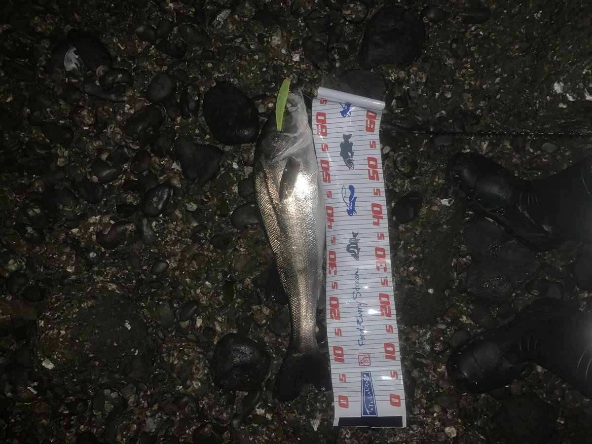 XZummwvIQJP3RTu's tweet photo. 夜活は🎣
5バラしの4キャッチ🐟
60〜70クラスばかり(^_^)a
80クラスがなかなか出ないな〜数は釣れるから面白いけど🤣
#ガマダス
#UKBW
#マルジン https://t.co/7x0zym149p
