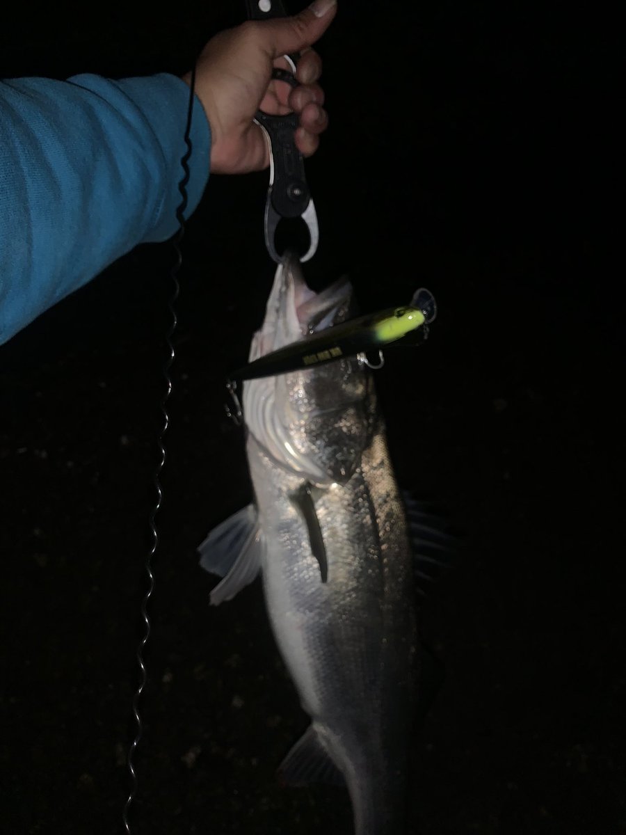 XZummwvIQJP3RTu's tweet photo. 夜活は🎣
5バラしの4キャッチ🐟
60〜70クラスばかり(^_^)a
80クラスがなかなか出ないな〜数は釣れるから面白いけど🤣
#ガマダス
#UKBW
#マルジン https://t.co/7x0zym149p