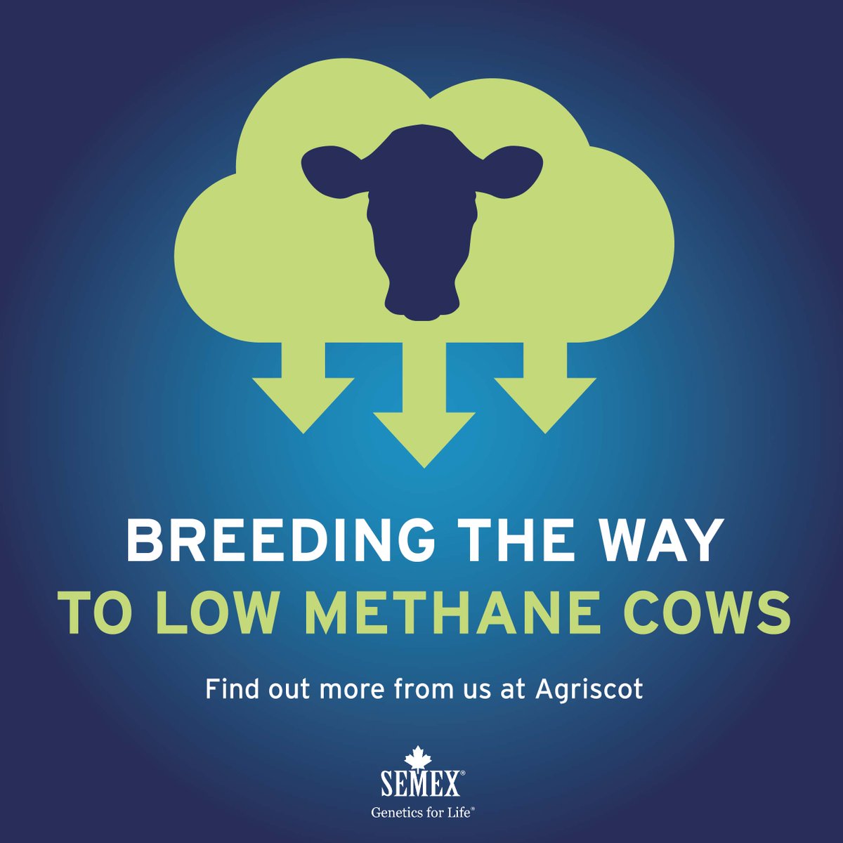 semexUK's tweet image. Come and visit us tomorrow at Agriscot (Stand No 78) and find out how to start breeding your way to low methane cows. Speak to a Semex Genetic Consultant for more. 🌎
#geneticsforlife #partofthesolution