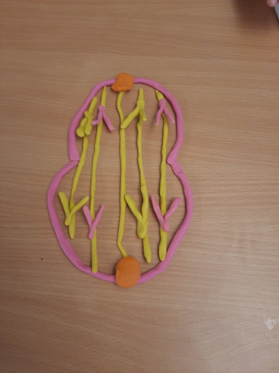 CharlotteC tweet media