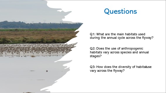 JoaoRBelo1's tweet photo. 2/6 #BOUsci2023 #SESH3
To better understand how #waders may cope with changes, we assessed:
- the patterns of habitat-use.
- the intensity of use of natural vs anthropogenic habitats.
-the diversity of habitats used.
across different species and stages of the annual cycle. https://t.co/bN5m2tsAeF