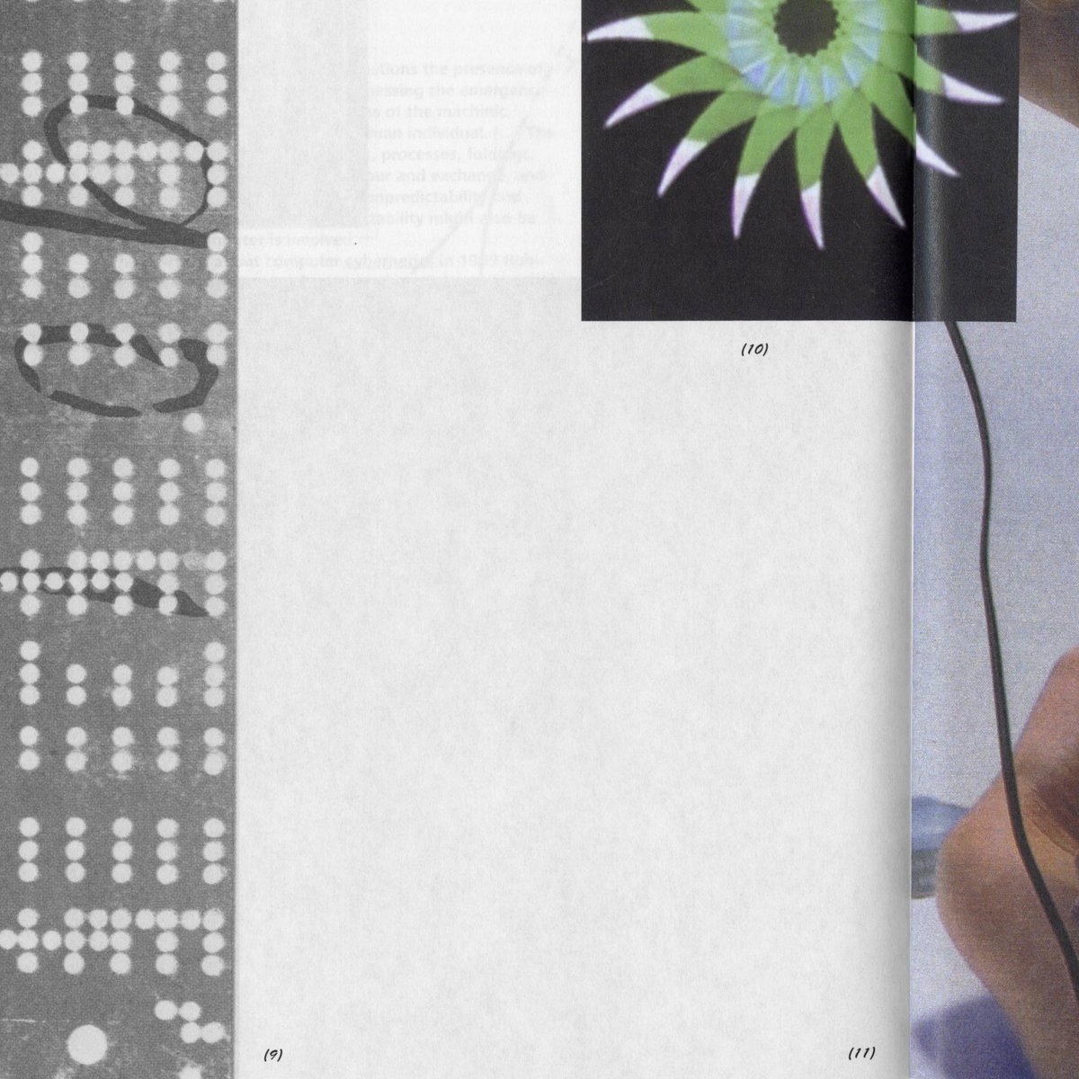 _- laura - _ tweet media