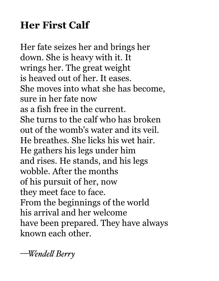 Today's Poetry Thread: MOTHERS

I love this one.  Feel free to add poems.