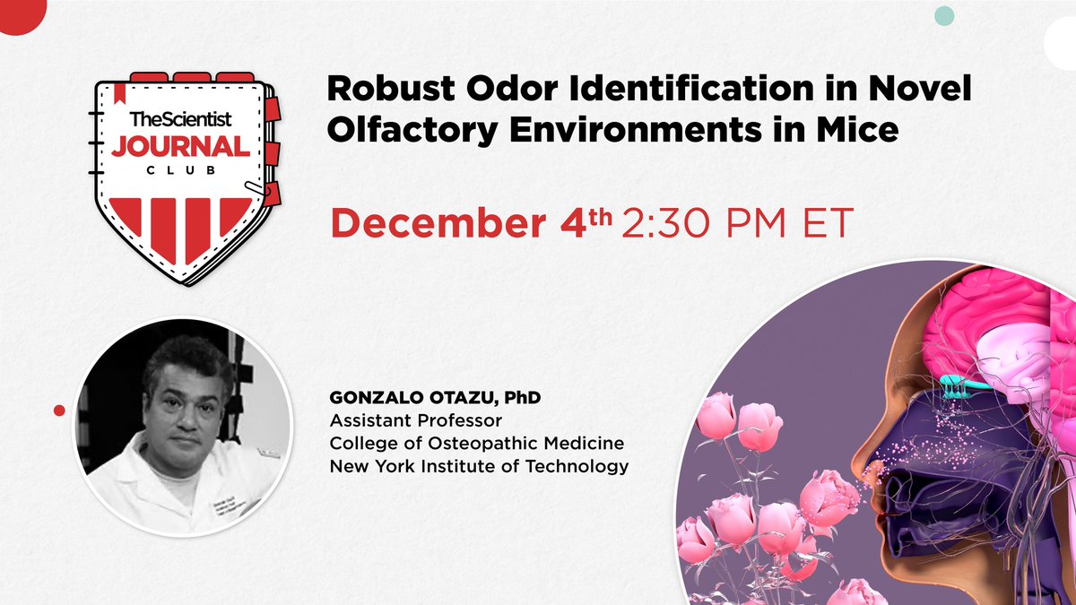 The Scientist tweet media