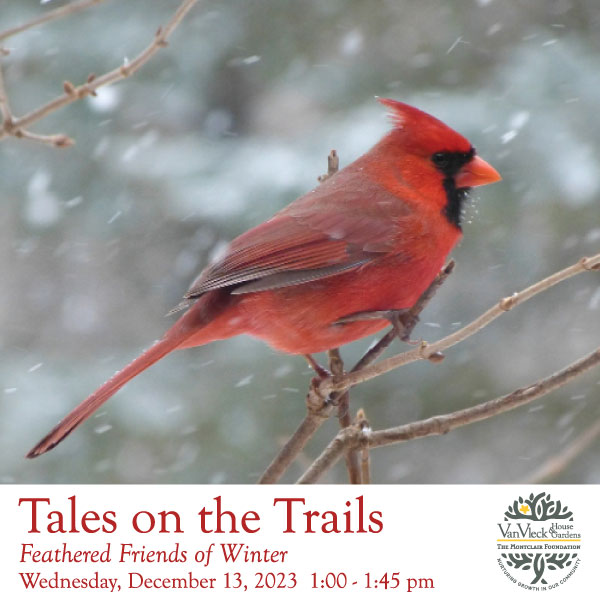 Join us to learn about our #FeatheredFriends of Winter! Listen to a story about our bird friends, create a craft &amp; walk around the garden as we try to spot our local winter bird 🐦12/13: 1- 1:45 pm

#classesatvanvleck #montclairnj #vanvleckhouseandgardens #themontclairfoundation