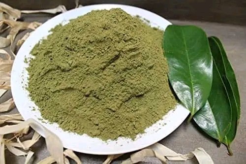 Prince_Fynnz's tweet photo. If you have family history of breast cancer, drink soursop leaves tea as often as possible. It has strong antioxidant property which prevents cancer. 

Dry the leaves, grind it into powder and add hot water to 2 tablespoonful and drink it as tea once daily. https://t.co/FQYKK8xwjN