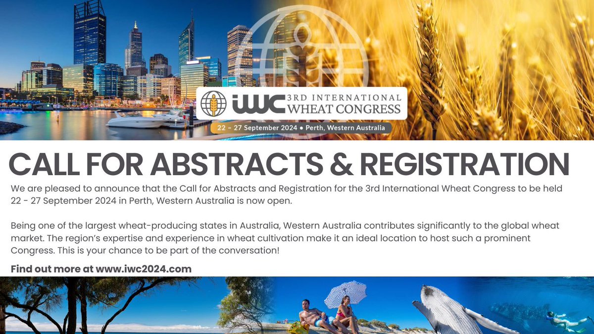 🌾🌍 Calling all wheat enthusiasts!
📍 Perth, Western Australia <a href="/MurdochUni/">Murdoch University</a> is gearing up to host the 3rd International Wheat Congress from 22 - 27 Sep 2024! 🙌 🌱 Don't miss your chance🌾🌍🔓 The Call for Abstracts and Registration is now OPEN! Learn more iwc2024.com