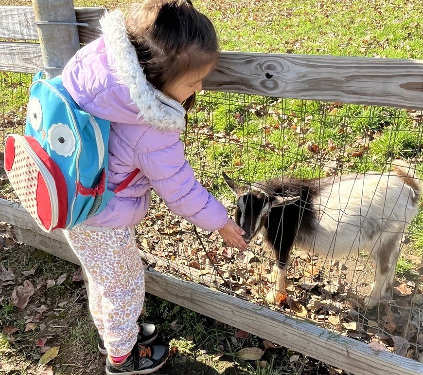 framinghamps's tweet image. On this #ThankfulThursday we would like to give many thanks to all who organized &amp;amp; chaperoned all of the Fall field trips! Here are some photos from Barbieri Elementary School! #thankyou #EmbracingDifferences #InspiringFutures #Community #PublicSchools