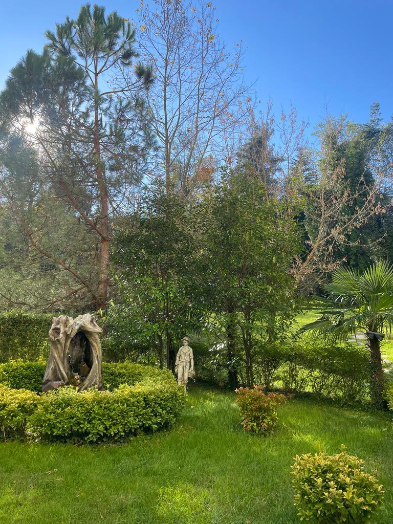 E biraz tatil yapalım biz de dimi