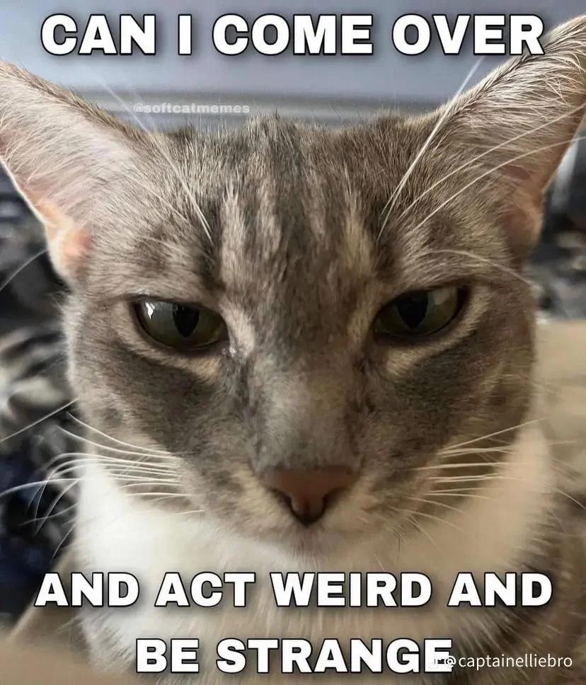 📚✨ Calling all writers! 🚀 It's #ShamelessSelfpromoTuesday, and the stage is yours. ✍️ Drop your creative gems below—links, snippets, or whatever sparks your literary magic! 🌟 Let's lift each other up in this incredible writing community. Like, repost, and spread the word! 🚀