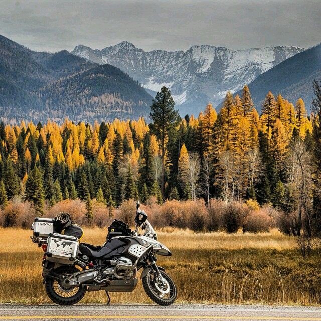 ijustwant2ride's tweet image. #fall2023  go ride!