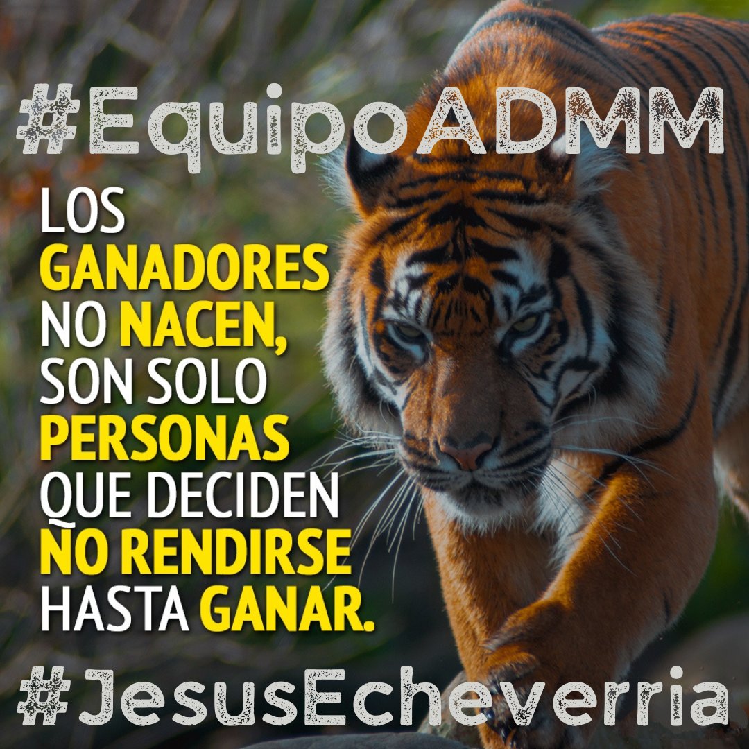 JesusEDistrito6's tweet photo. Buen día Amigas con Toda La Actitud #FelizMartesATodos, #EquipoADMM  No se Rinde , Metas Claras, Convicción Bien Cimentada #Distrito6 #Ecatepec @alfredodelmazo @EduardoFloMa1 @Jessica_Anaya87 @EvelynPereZMor5 @JuarezSannet  #Seguimos #FuerteYConTodo https://t.co/tjZQj4E0Eh