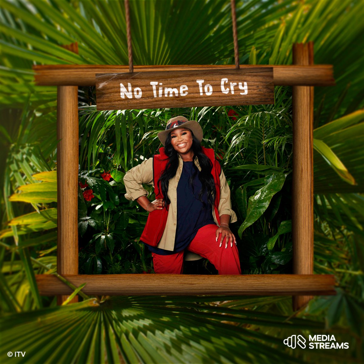 MediaStreams tweet media